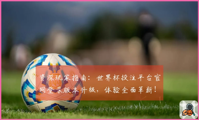 资深玩家指南：世界杯投注平台官网登录版本升级，体验全面革新！