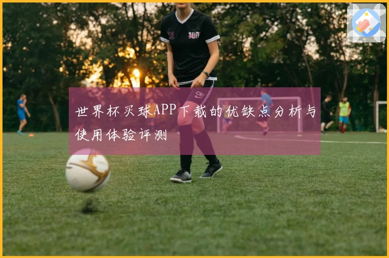 世界杯买球APP下载的优缺点分析与使用体验评测