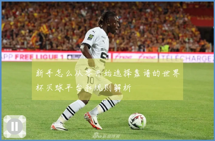 新手怎么从零开始选择靠谱的世界杯买球平台和规则解析