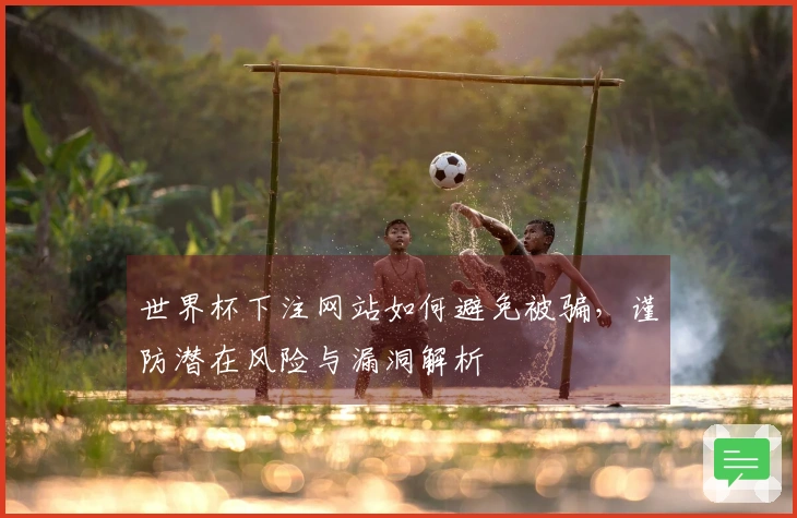 世界杯下注网站如何避免被骗,谨防潜在风险与漏洞解析
