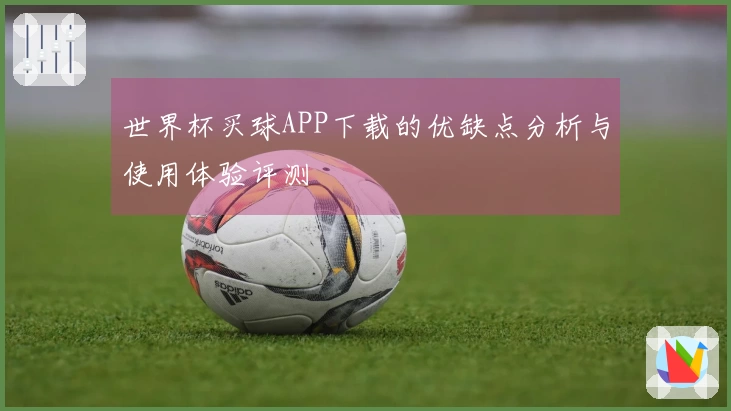 世界杯买球APP下载的优缺点分析与使用体验评测