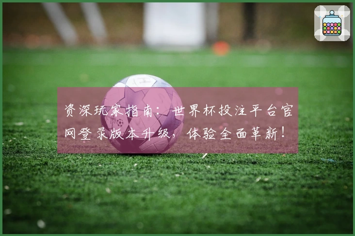 资深玩家指南：世界杯投注平台官网登录版本升级，体验全面革新！