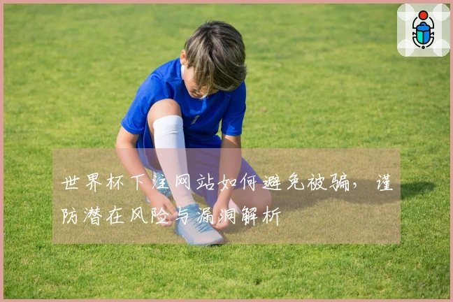 世界杯下注网站如何避免被骗，谨防潜在风险与漏洞解析