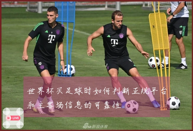 世界杯买足球时如何判断正规平台和主客场信息的可靠性