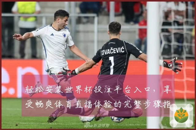 轻松安装世界杯投注平台入口，享受畅爽体育直播体验的完整步骤指南