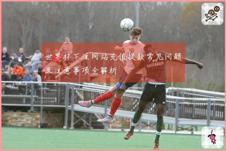世界杯下注网站充值提款常见问题及注意事项全解析