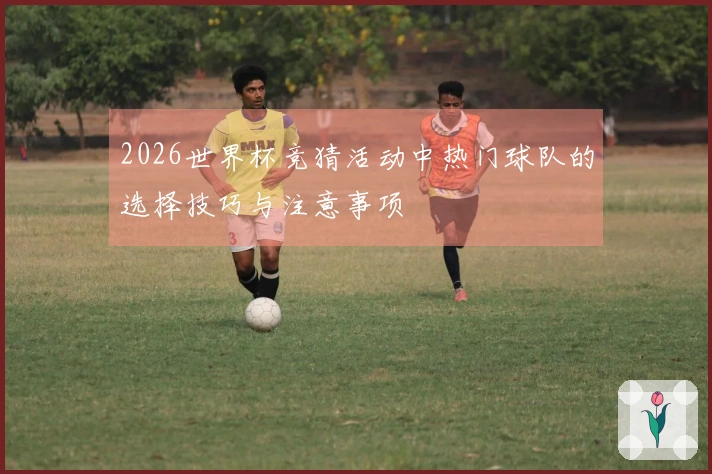 2026世界杯竞猜活动中热门球队的选择技巧与注意事项