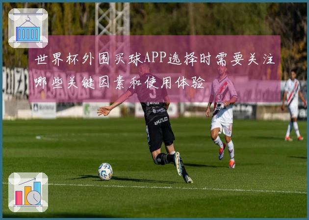 世界杯外围买球APP选择时需要关注哪些关键因素和使用体验